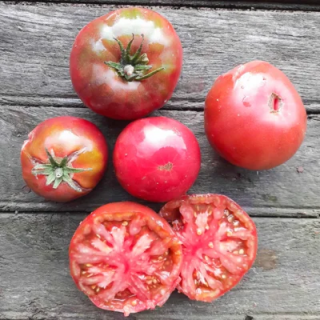 Tomate Noire Mi-Saison Noire de Crimée - Kokopelli