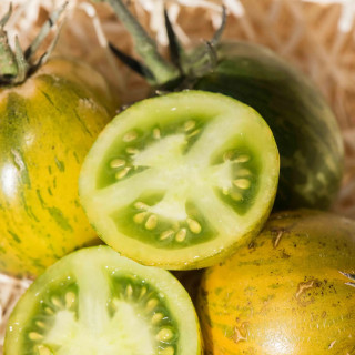 Tomate Verte Mi-Saison Green Zebra - Kokopelli