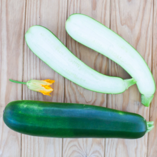 Courgette Dark Star - Allongée - Kokopelli