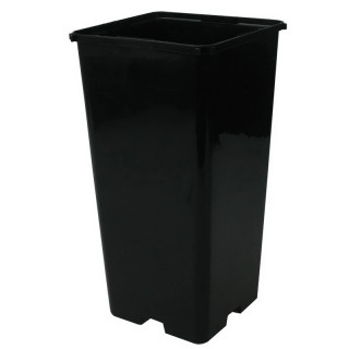 Pot carré haut noir 2,3 litres - 10,3 x 10,3 x 28 cm