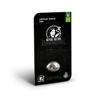 Critical Runtz - Féminisée - Sensi Seeds Research