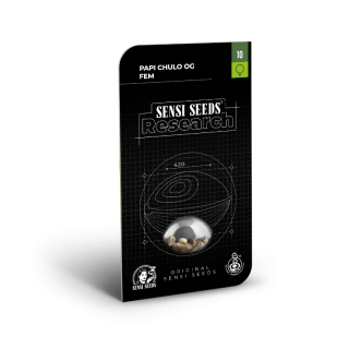 Papi Chulo OG - Féminisée - Sensi Seeds Research