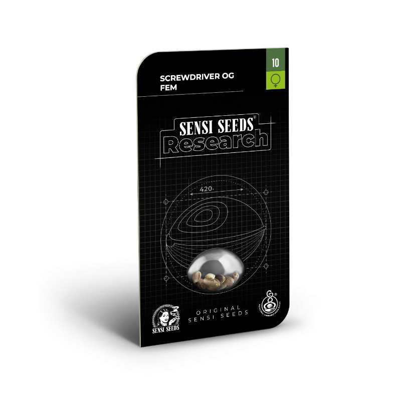 Screwdriver OG - Féminisée - Sensi Seeds Research