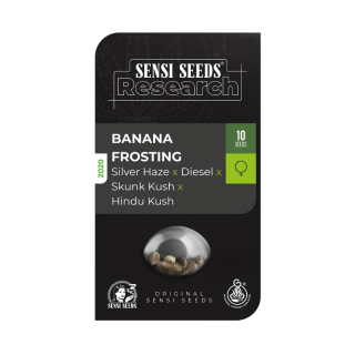 Banana Frosting - Féminisée - Sensi Seeds Research