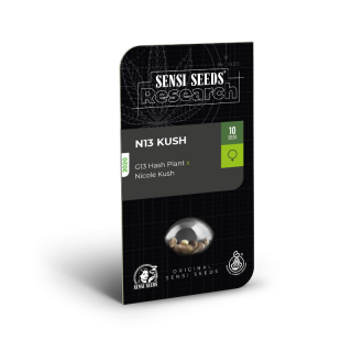 N13 Kush - Féminisée - Sensi Seeds Research