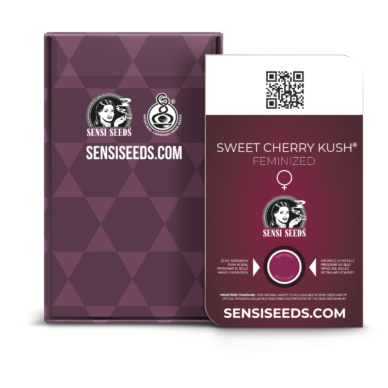 Sweet Cherry Kush - Féminisée - Sensi Seeds
