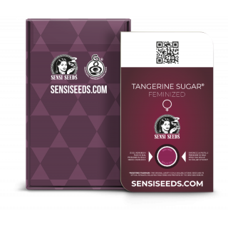 Tangerine Sugar - Féminisée - Sensi Seeds