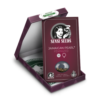 Jamaican Pearl - Féminisée - Sensi Seeds