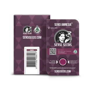 Sensi Amnesia -  Féminisée - Sensi Seeds