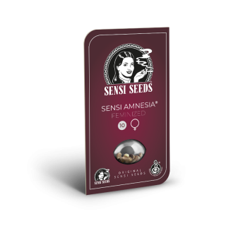 Sensi Amnesia -  Féminisée - Sensi Seeds