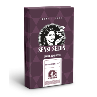 Northern Lights 5 x Haze - Féminisée - Sensi Seeds