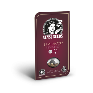 Silver Haze - Féminisée - Sensi Seeds