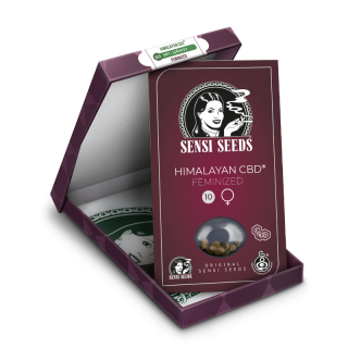 Himalayan CBD - Féminisée - Sensi Seeds