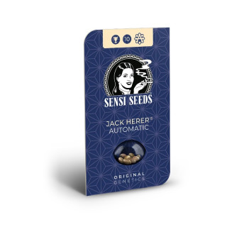 Sensi Skunk - Autofloraison - Sensi Seeds