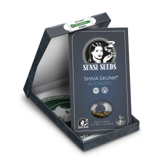 Shiva Skunk - Autofloraison - Sensi Seeds
