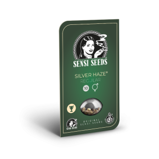 Silver Haze - Régulière - Sensi Seeds