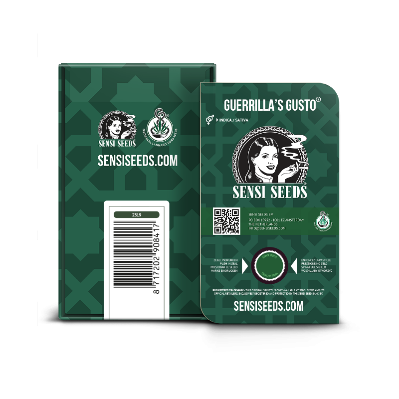 Guerrilla’s Gusto - Régulière - Sensi Seeds