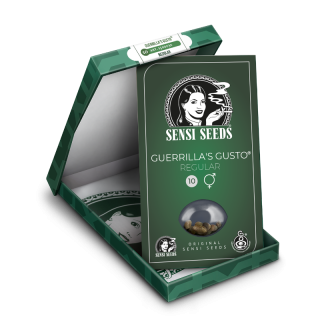 Guerrilla’s Gusto - Régulière - Sensi Seeds