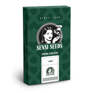 Durban - Régulière - Sensi Seeds