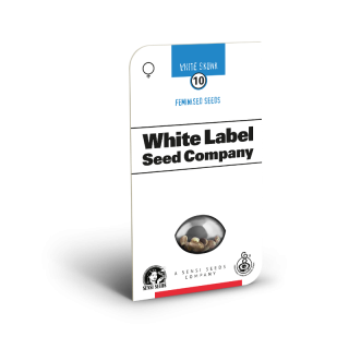White Skunk - Féminisée - Sensi Seeds White Label