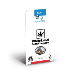 OG Kush - Féminisée - Sensi Seeds White Label