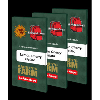Lemon Cherry Gelato - Féminisée - Barney’s Farm | ROOTS-SEEDS.FR