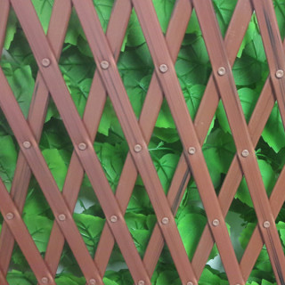 Rosier - Treillis Extensibles PVC