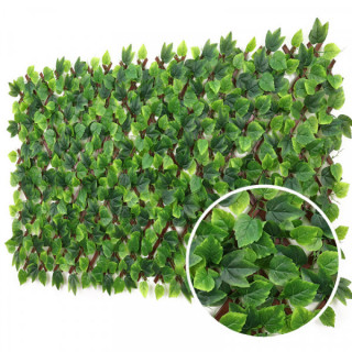 Rosier - Treillis Extensibles PVC
