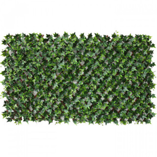 Lierre Grimpant - Treillis Extensibles PVC