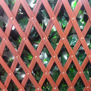 Lierre Grimpant - Treillis Extensibles PVC