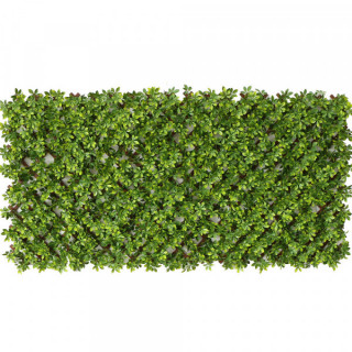 Ficus - Treillis Extensibles PVC