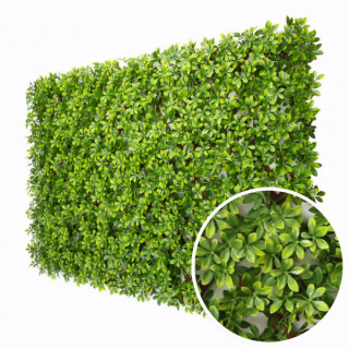 Ficus - Treillis Extensibles PVC