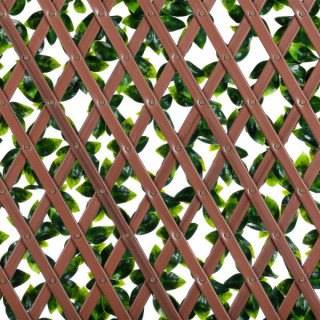 Ficus - Treillis Extensibles PVC
