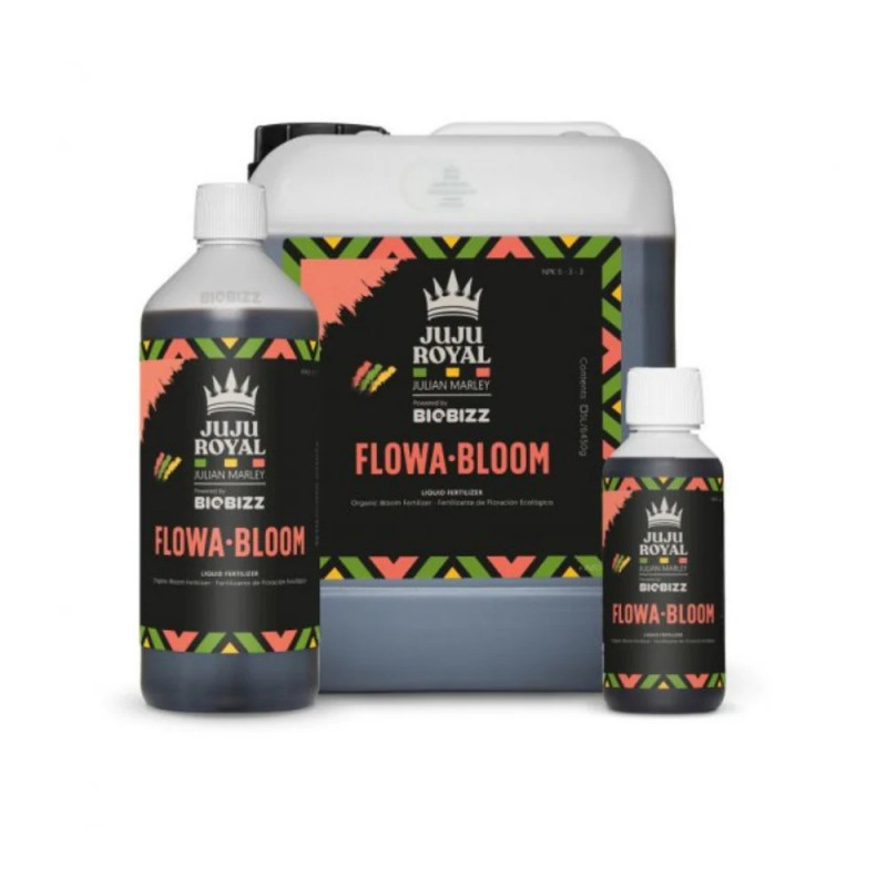 Flowa Bloom Juju Royal Flowa Bloom Juju Royal