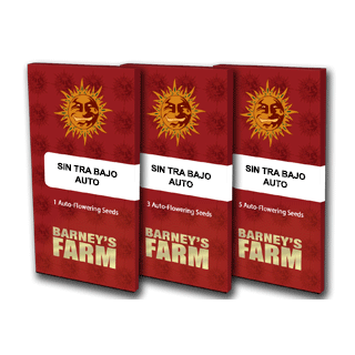 Sin Tra Bajo Auto - Barney's Farm