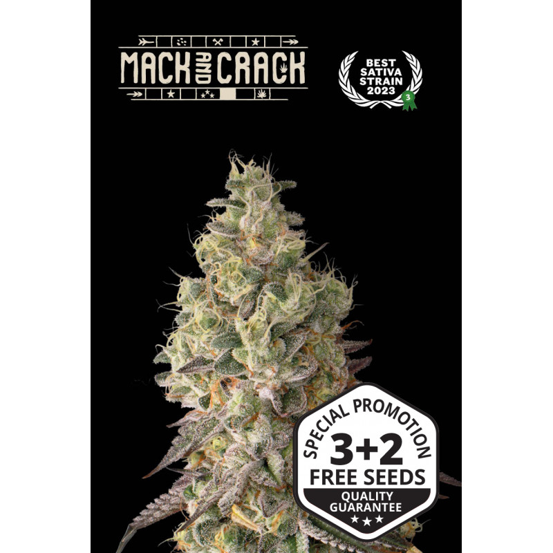 Mack & Crack - Auto - Seed Stockers