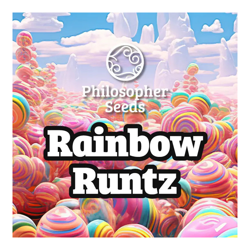 Rainbow Runtz - FEM - Philosophers Seeds
