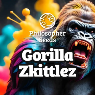 Gorilla Zkittlez - FEM - Philosophers Seeds