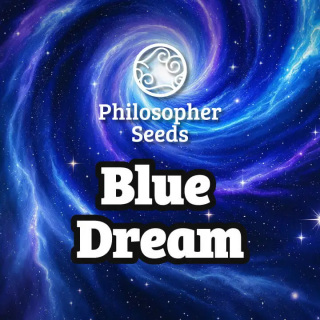 Blue Dream - FEM - Philosophers Seeds