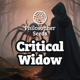 Critical Widow - FEM - Philosophers Seeds