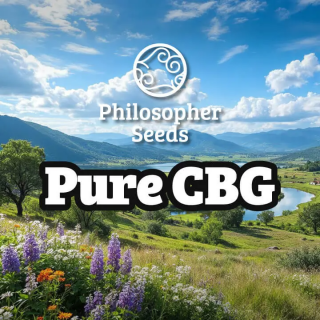Pure CBG - FEM - Philosophers Seeds