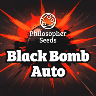Black Bomb - AUTO - Philosophers Seeds