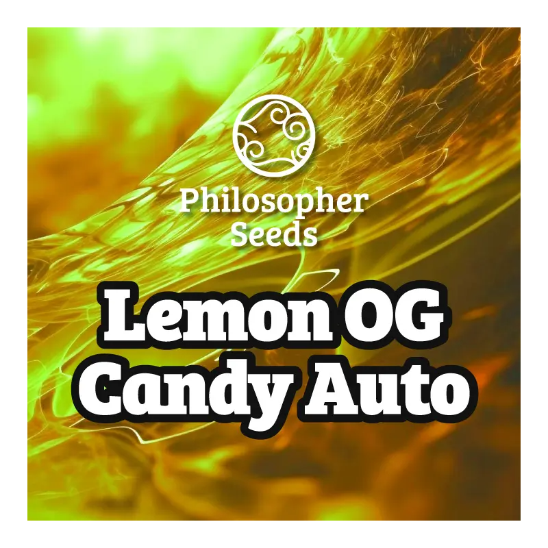 Lemon OG Candy - AUTO - Philosophers Seeds