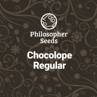 Chocolope - REG - Philosopher Seeds