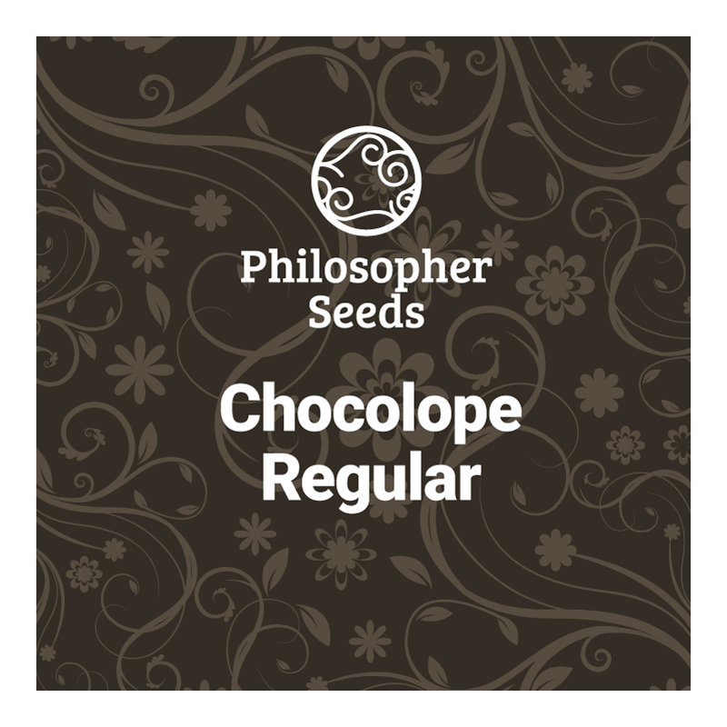 Chocolope - REG - Philosopher Seeds