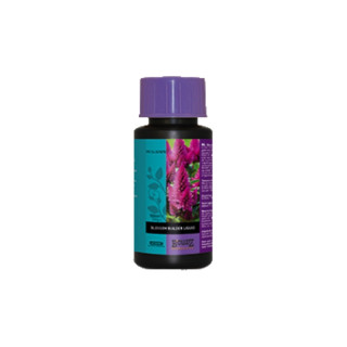 Blossom Builder Liquide - B'Cuzz -100ml