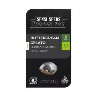 Buttercream Gelato - Féminisée - Sensi Seeds Research | ROOTS-SEEDS.FR