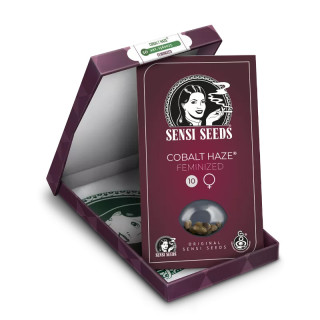 Cobalt Haze - Féminisée - Sensi Seeds