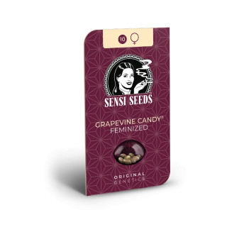 Grapevine Candy - Féminisée - Sensi Seeds | ROOTS-SEEDS.FR