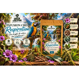 Infusion CBD Respiration 50 g | Green Evolution